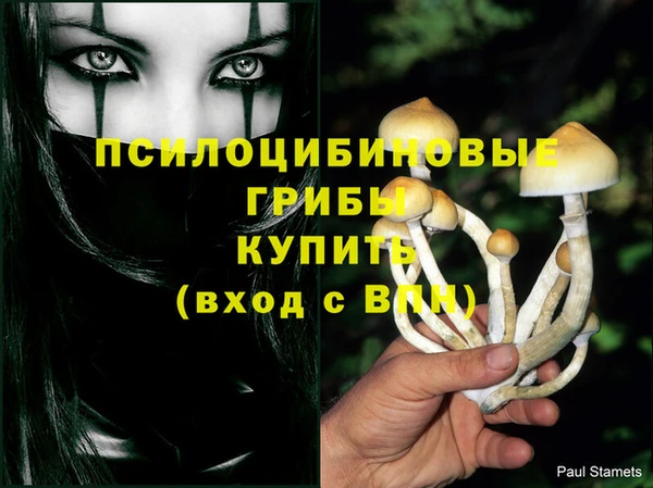 бутират Балахна