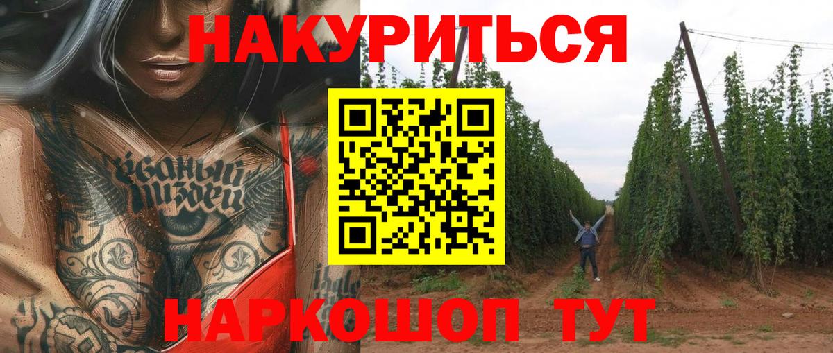 МАРИХУАНА план Усть-Джегута